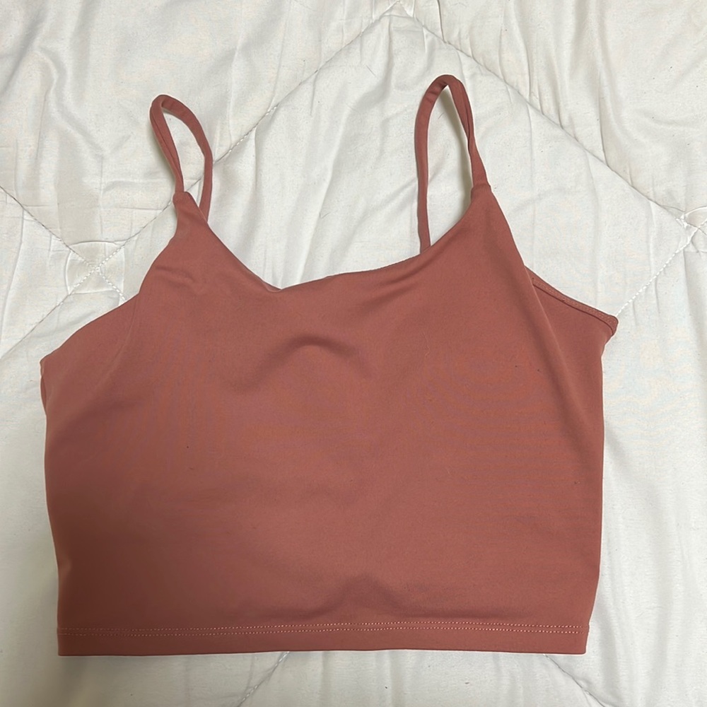 Sierra sports bra wore it a couple times.